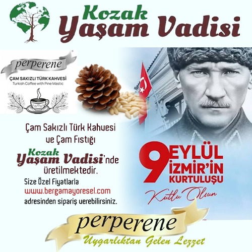 YAŞAM VADİSİ