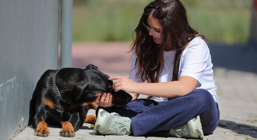 Aliağalılar Pati Park'a Akın Etti Aliağalı Öğrencilerden Pati Park'a Ziyaret