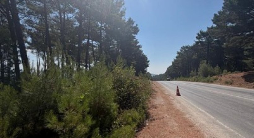 Bergama-Kozak Yolunda Yangın Riskine Karşı 14 Kilometrelik Temizlik